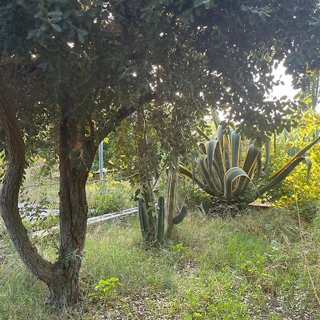 Villa Vittoria Trappeto  Exteriér fotografie