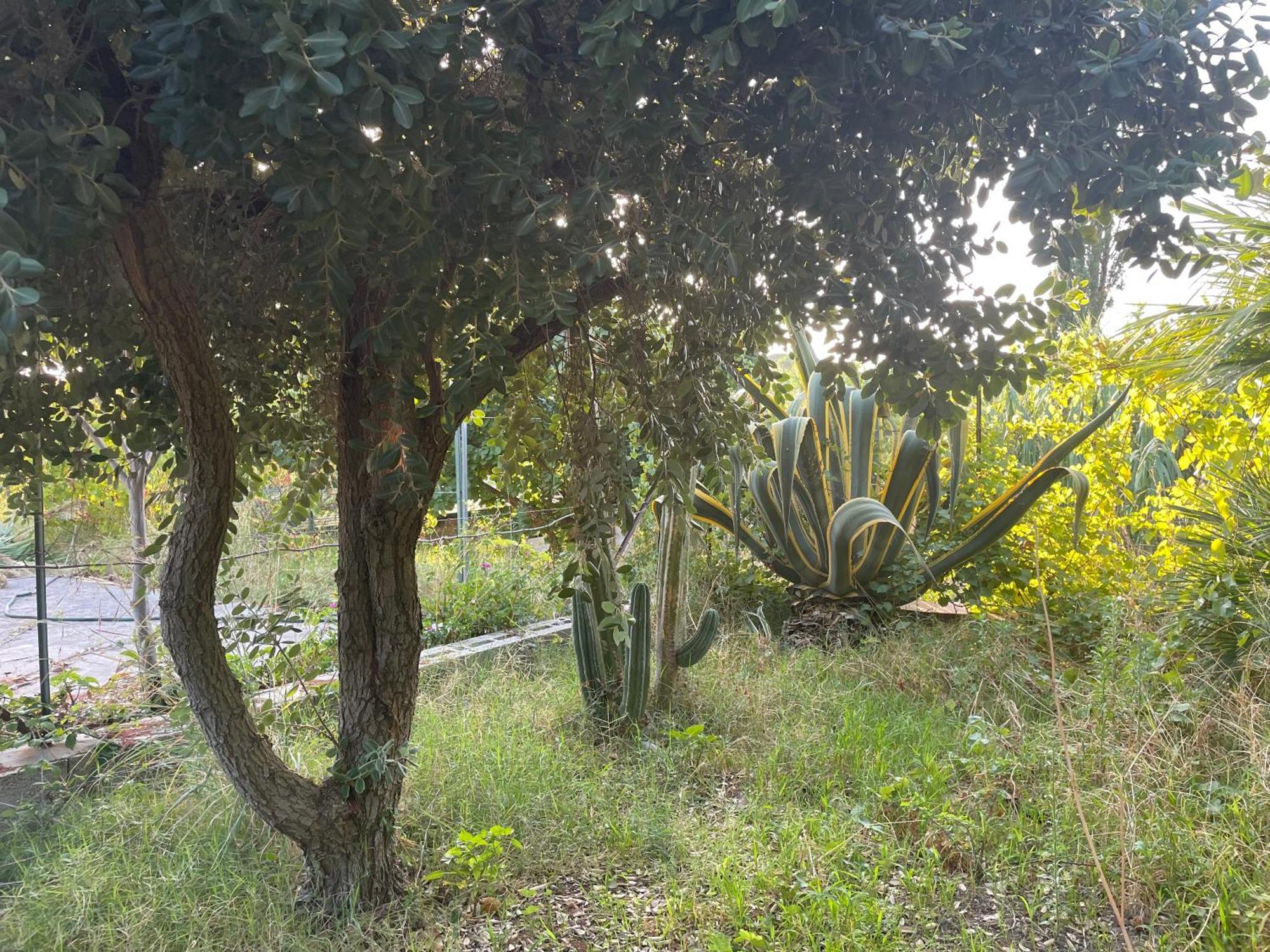 Villa Vittoria Trappeto  Exteriér fotografie